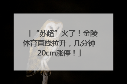 “苏超”火了！金陵体育直线拉升，几分钟20cm涨停！